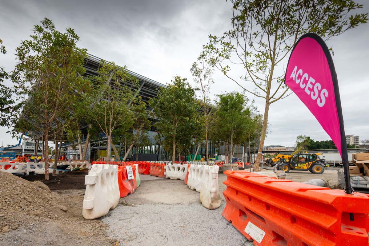Trees planted around the Woolloongabba station entrances